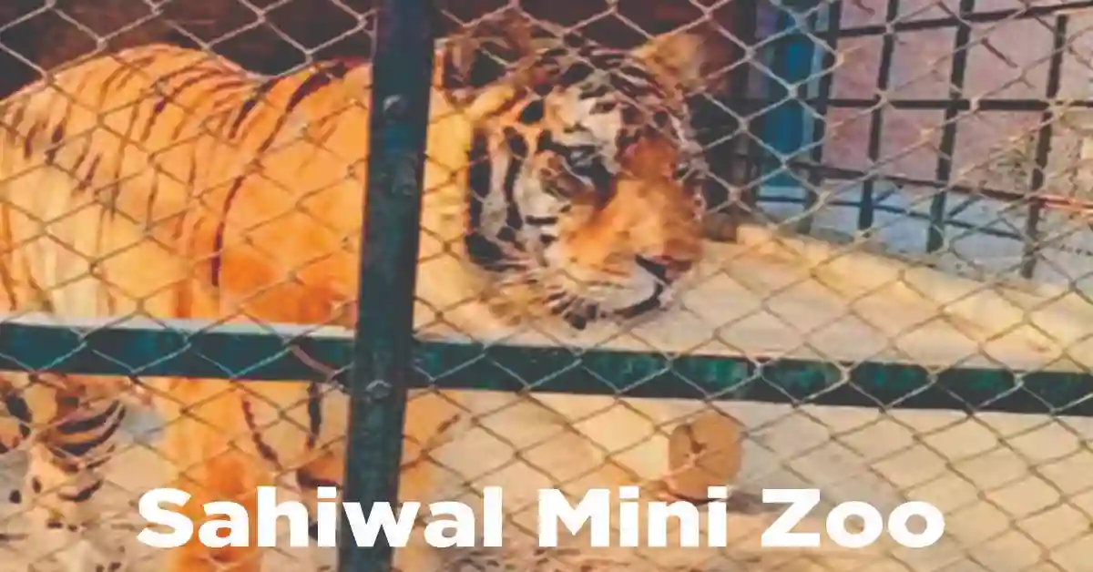 Sahiwal resort mini zoo