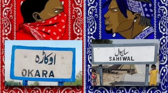 Okara and Sahiwal